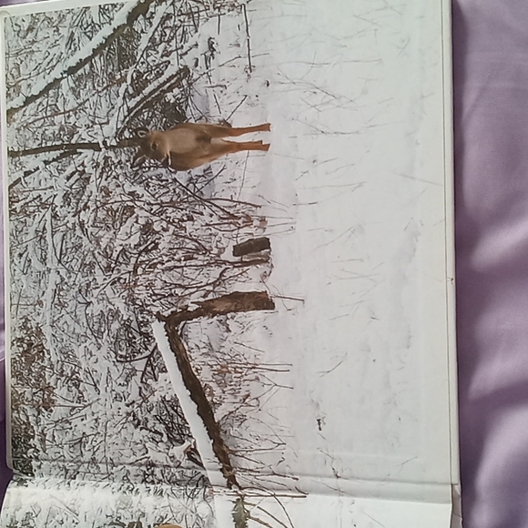 Book - Picture 4 of 4